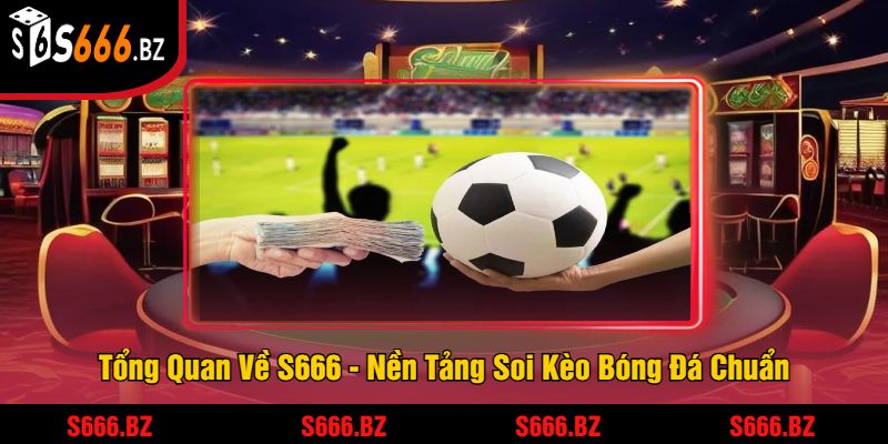 Soi Kèo Bóng Đá Chuẩn S666 - Dự Đoán Kết Quả Thắng Lớn 1 Tổng Quan Về S666 - Nền Tảng Soi Kèo Bóng Đá Chuẩn